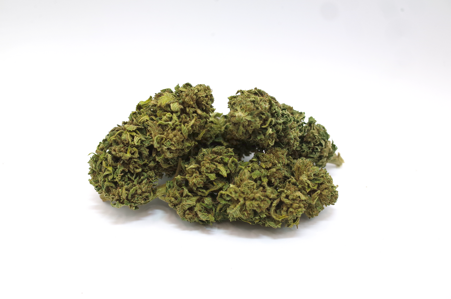 Amnesia cru 2025 - CBD Bio