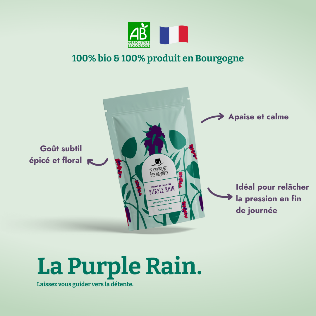 Purple Rain - CBD bio - Edition Spéciale