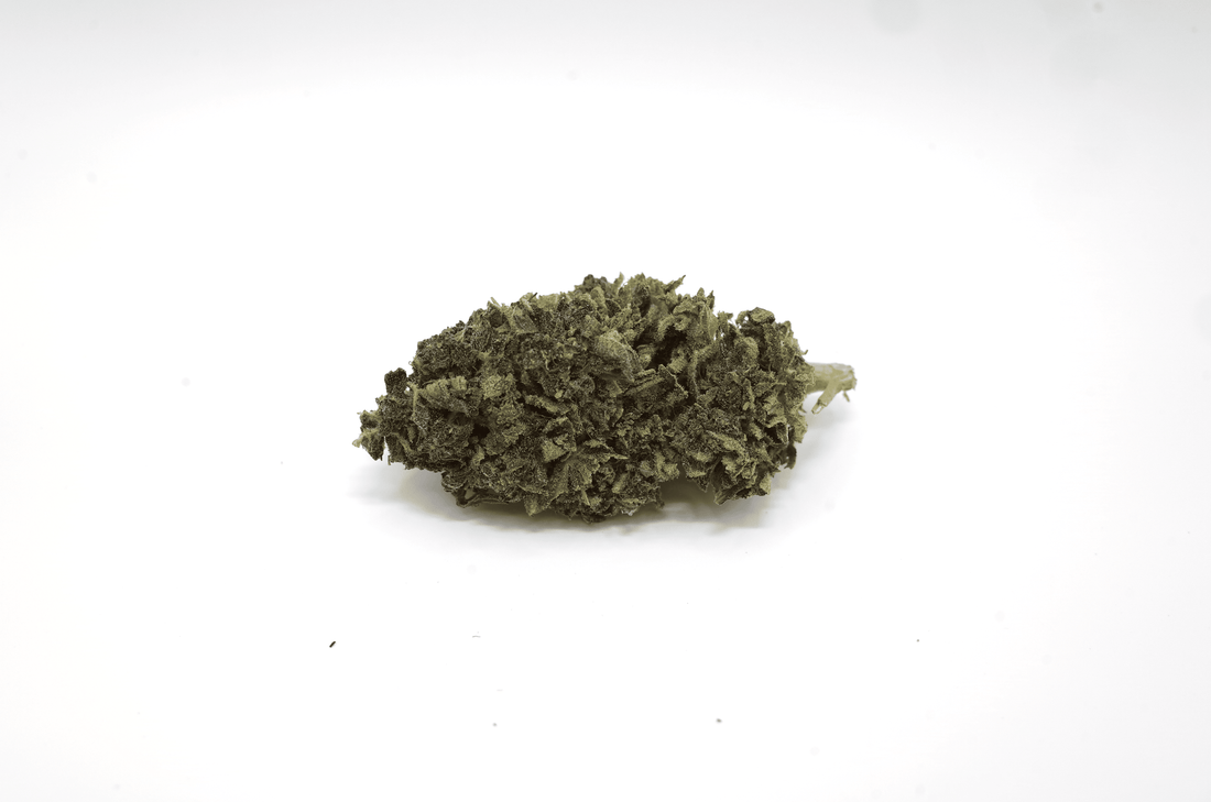 Qu'est-ce que le profil terpénique d'une fleur de CBD ?