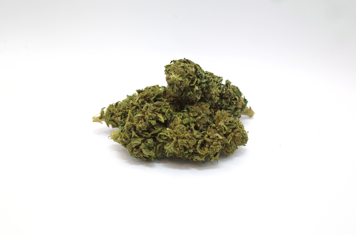 Amnesia cru 2025 - CBD Bio