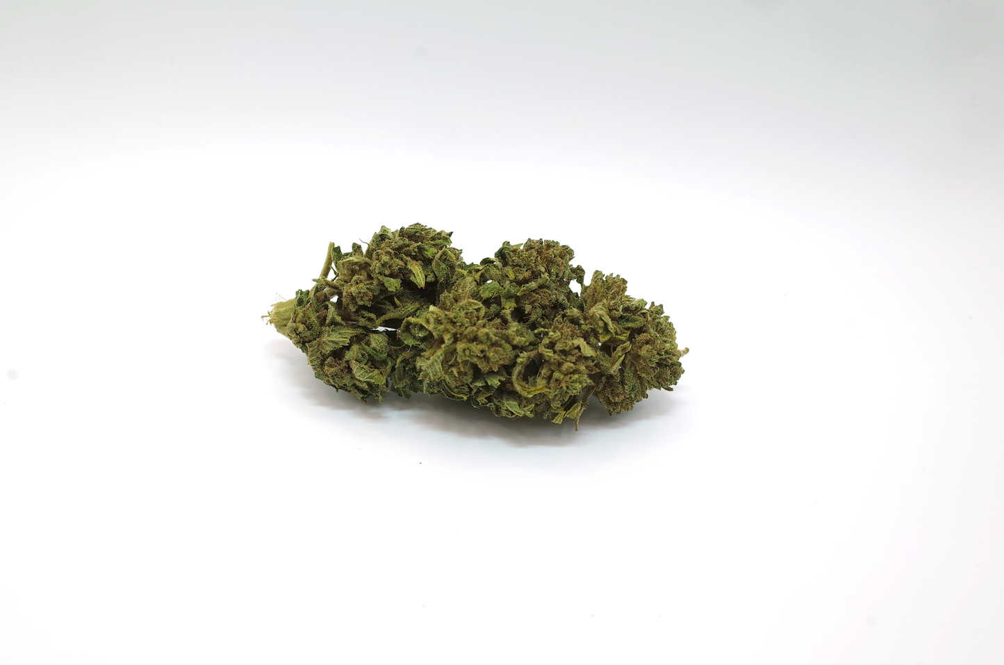 Amnesia cru 2025 - CBD Bio