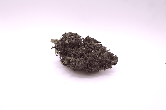 Purple Rain cru 2025 - CBD Bio