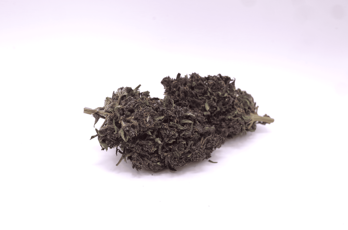 Purple Rain cru 2025 - CBD Bio