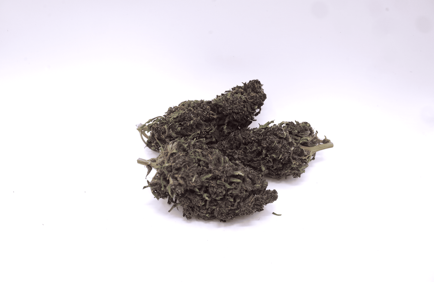 Purple Rain cru 2025 - CBD Bio