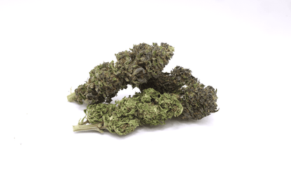 Blue Orchid - CBD Bio