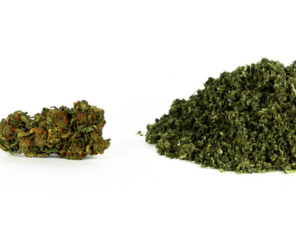 La Récolte solidaire - Pack de CBD bio