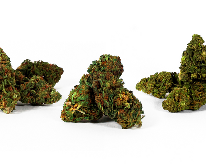 À la découverte de la Grange - Pack de CBD bio